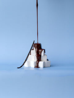 Chocolate Covered Marshmallow